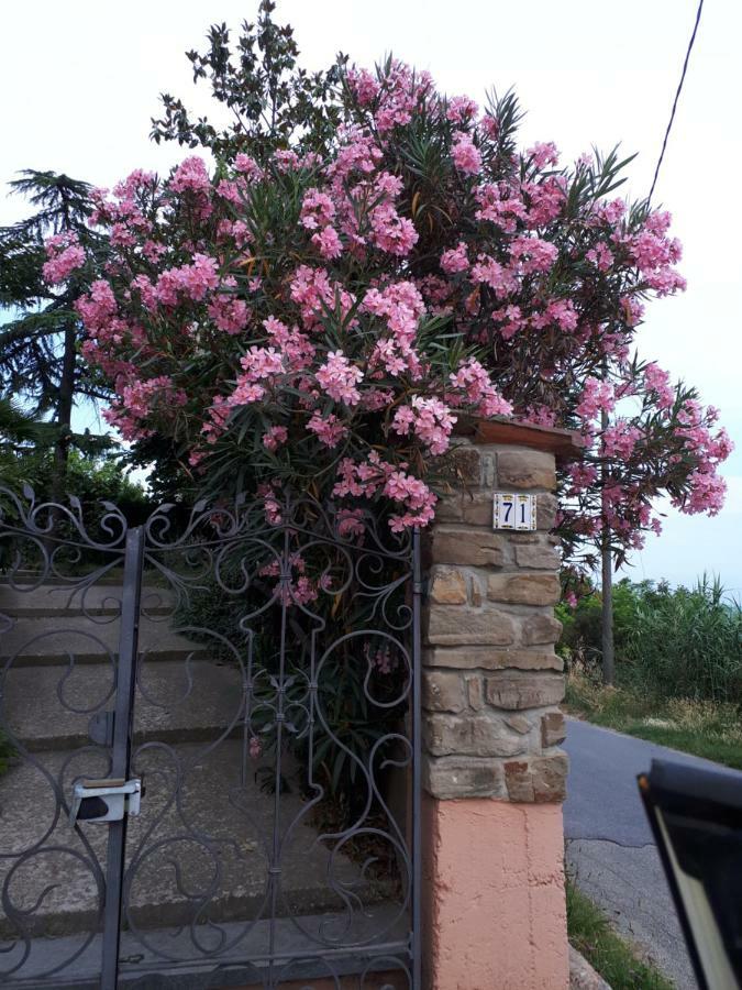 Holydays Home Little Frog Agliano Terme Exterior foto