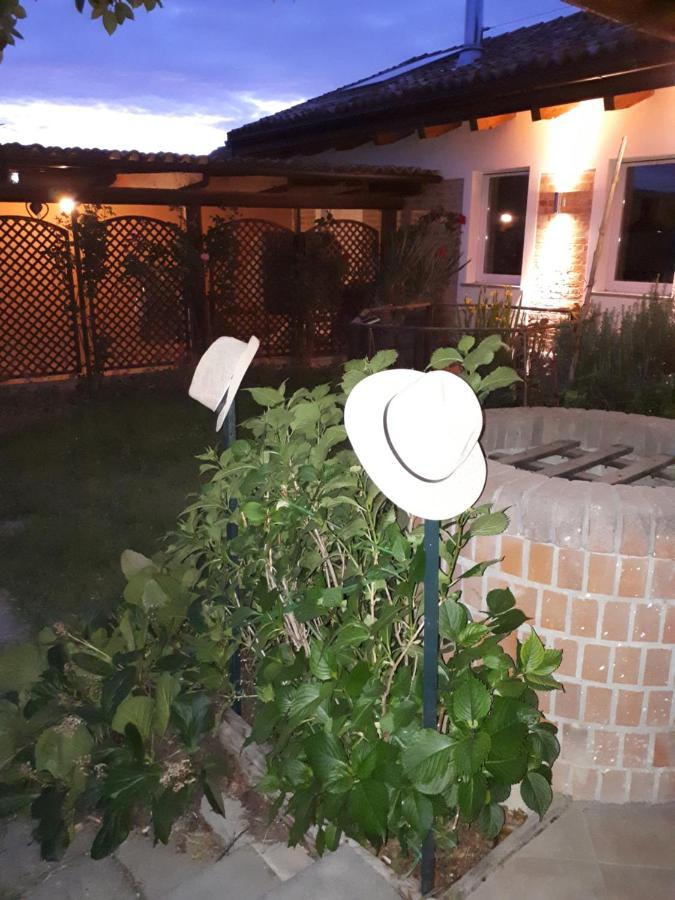 Holydays Home Little Frog Agliano Terme Exterior foto