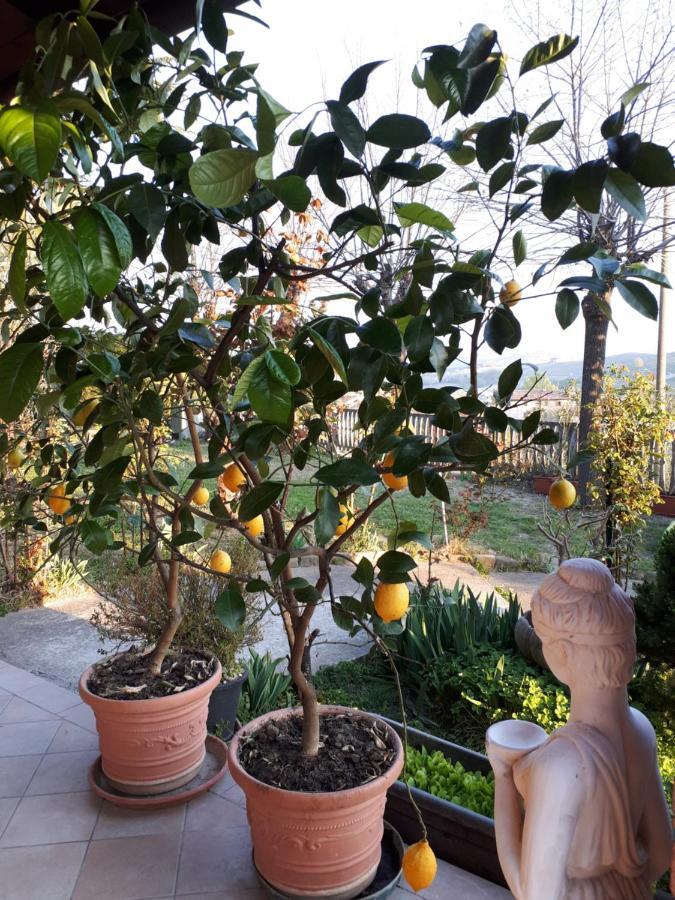 Holydays Home Little Frog Agliano Terme Exterior foto